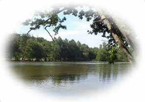 tourisme perche orne tourouvre l'aigle 61 normand fishing b&b fish room chambre d'hte loisir fort promenade pedestre